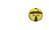 Volleyballs, Volleyball Balls, Volleyballs in Bulk, Item Number 023778