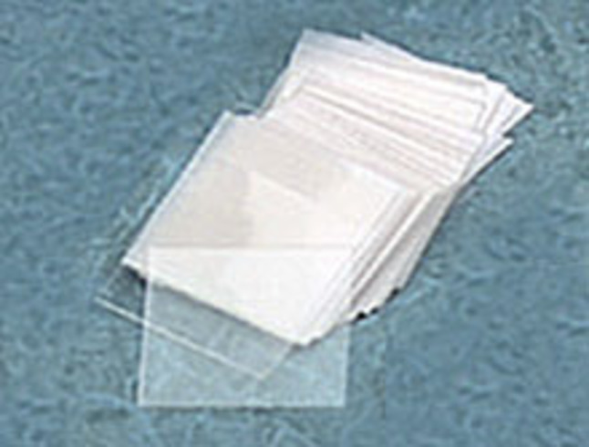 Delta Education Plastic Cover Slips, Pack of 100, Item Number 030-7471