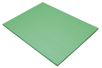 Tru-Ray Sulphite Construction Paper, 18 x 24 Inches, Festive Green, 50 Sheets Item Number 054924