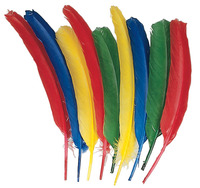 Creativity Street Long Colored Quills, 10 to 12 Inches, Pack of 12 Item Number 086302
