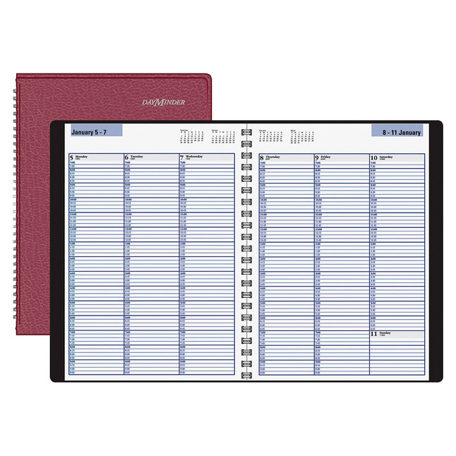 At-A-Glance DayMinder Professional Appointment Book, 8 X 11 in, Weekly, Jan - Dec, Burgundy, Item Number 1053148