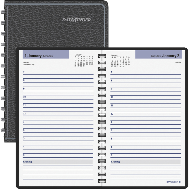 At-A-Glance DayMinder Appointment Book - One Page Per Day, Item Number 1053226