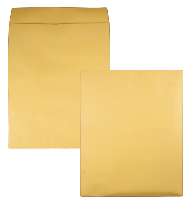Catalog Envelopes and Booklet Envelopes, Item Number 1066484
