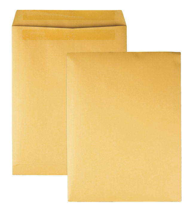 Catalog Envelopes and Booklet Envelopes, Item Number 1066505