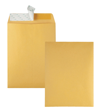 Catalog Envelopes and Booklet Envelopes, Item Number 1066510