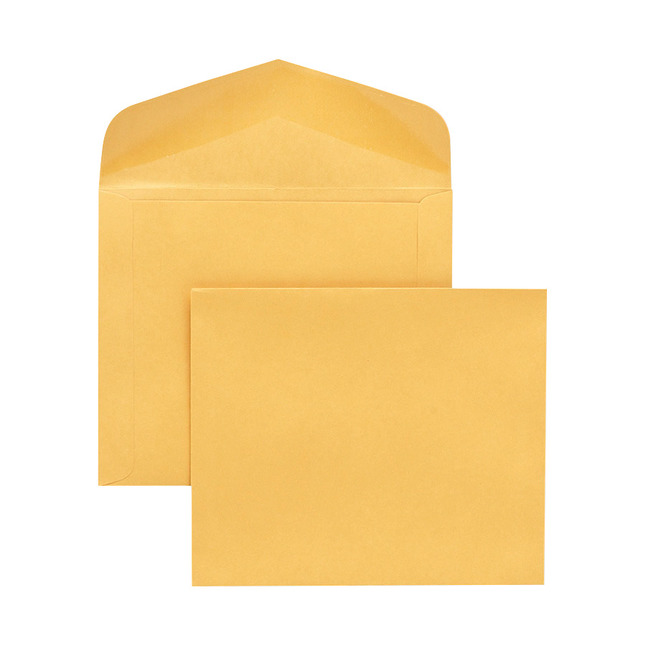 Catalog Envelopes and Booklet Envelopes, Item Number 1066561
