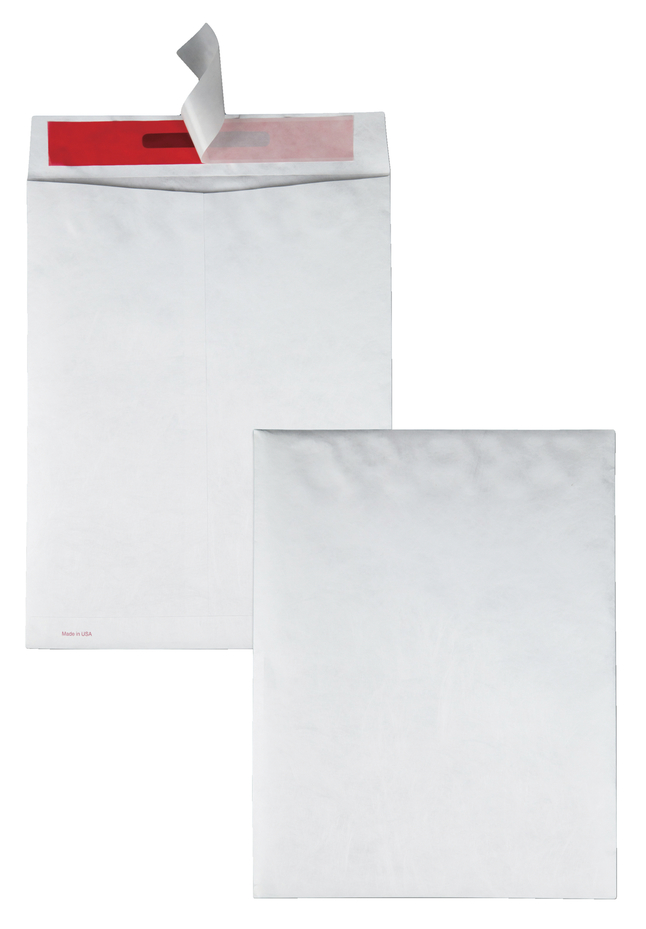 Tyvek Envelopes, Item Number 1079653