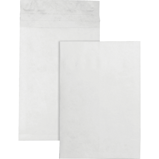 Tyvek Envelopes, Item Number 1079663