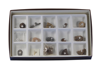 Image for Geoscience General Fossil Collection, Set of 15 from School Specialty