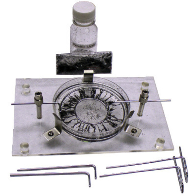 Science First Electric Fields Apparatus, Item Number 1294706
