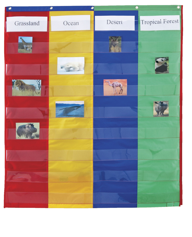 Learning Resources 2 and 4 Column Double-Sided Pocket Chart, 30 x 38 Inches, Item Number 1397829