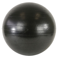 CanDo Ball Chair Replacement Ball, Adult-Size, 22 Inches, Black Item Number 1412625