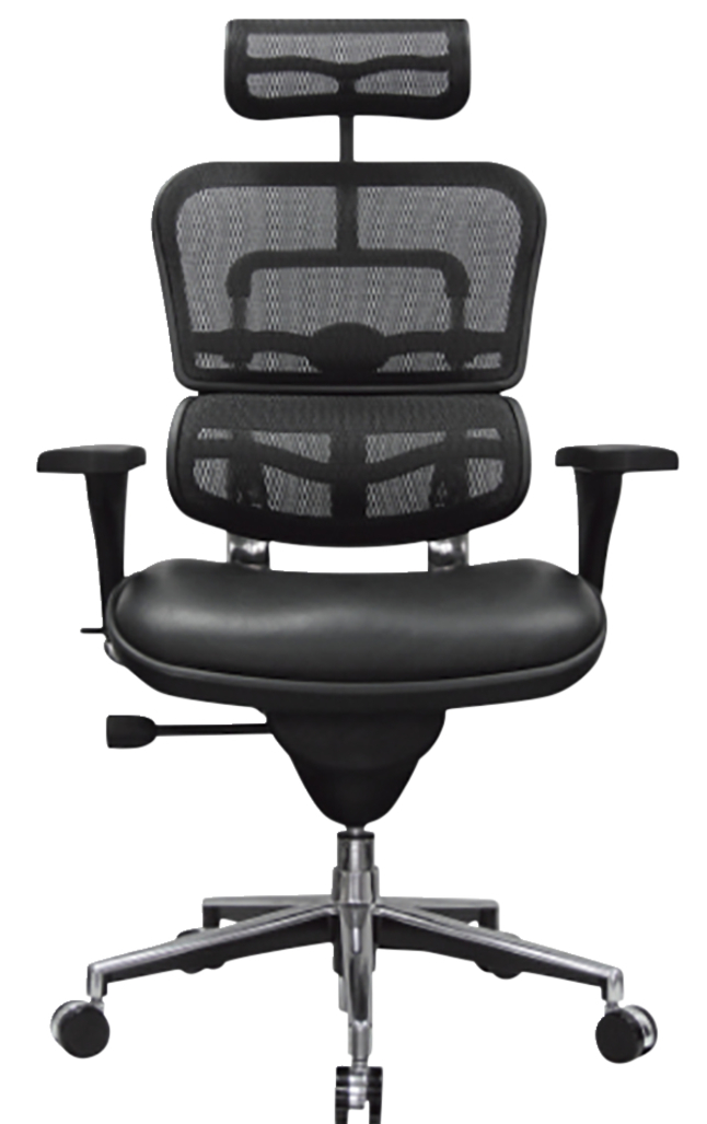 Eurotech Ergohuman High Back Task Chair With Headrest Leather Seatmesh Back 26 12 X 29 X 52 