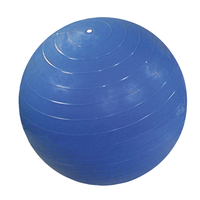 CanDo Ball Chair Replacement Ball, Child-Size, 15 Inches, Blue Item Number 1425490