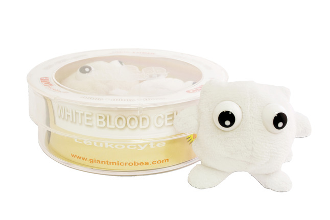giant microbes white blood cell
