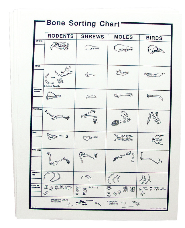 Pack of 5 Free USPS Shipping with Bone Sorting Sheet Jumbo Owl Pellets 