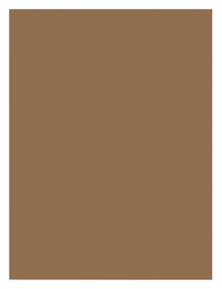 SunWorks Heavyweight Construction Paper, 9 x 12 Inches, Light Brown, 100 Sheets Item Number 1506494
