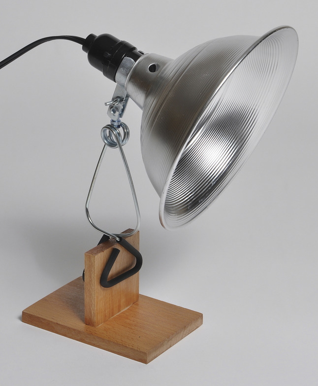 General Purpose Lamp, Item Number 1526234