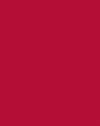 Pacon Plastic Poster Board, 22 x 28 Inches, Red, Pack of 25 Item Number 1537850