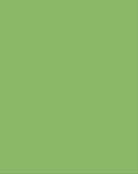 Pacon Plastic Poster Board, 22 x 28 Inches, Lime Green, Pack of 25 Item Number 1537853