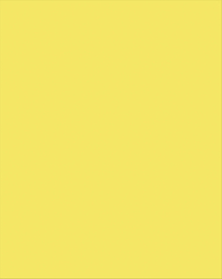 Pacon Plastic Poster Board, 22 x 28 Inches, Yellow, Pack of 25 Item Number 1537854