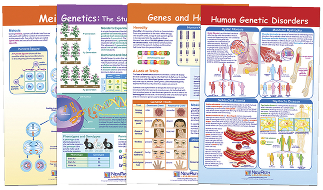 Science Genetic Studies, Item Number 1567130