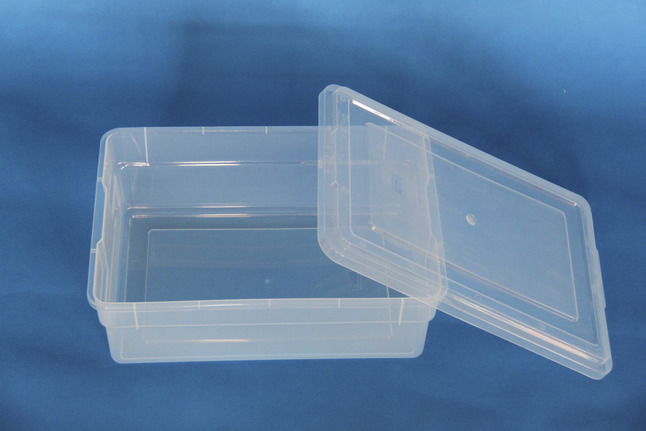 School Smart Storage Box with Lid, 11 x 16 x 6 Inches, Translucent