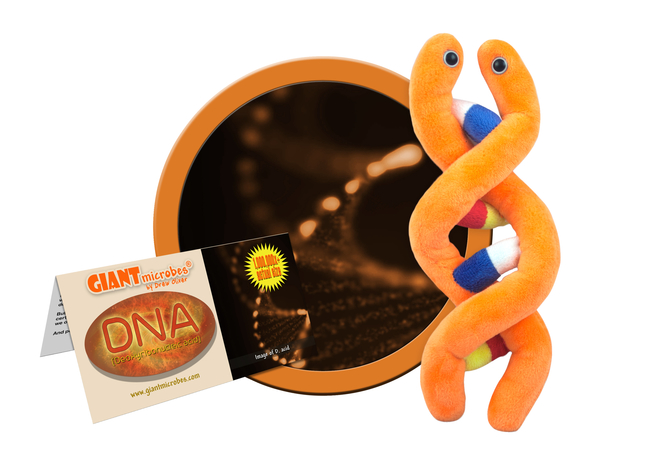 GIANTmicrobes DNA Plush, 5 to 8 Inches, Item Number 1590790