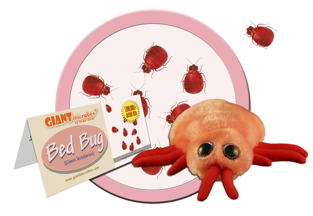 bed bug stuffed animal