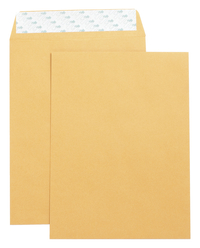 Catalog Envelopes - Booklet Envelopes