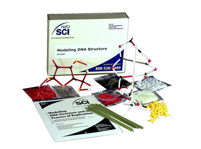 NeoSCI Modeling DNA Structure and the Process of Replication Lab Investigation, Item Number 20-2193
