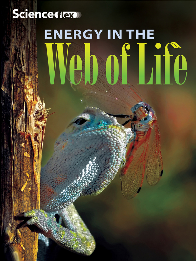 ScienceFLEX Energy in the Web of Life, Reader Sample Pack, Pack of 4, Item Number 2002008