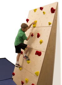 Upper Body Climbing Equipment, Item Number 2041319