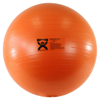 CanDo Inflatable Exercise Ball, Extra Thick ABS, 22 Inches, Orange Item Number 2010581