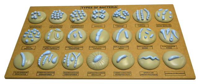 Microbology Supplies, Item Number 2012063