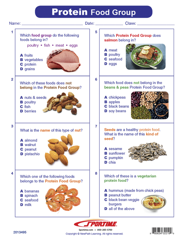 Sportime Protein Food Group Visual Learning Guide, 4 Pages, Grades 1 to 4