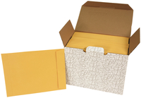 School Smart No Clasp Envelopes with Gummed Flap, 9 x 12 Inches, Kraft Brown, Pack of 250 Item Number 2013918