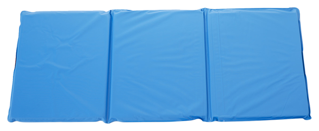 Folding Rest Mats, Children's Nap Pads, 3-Fold, 1in Thick