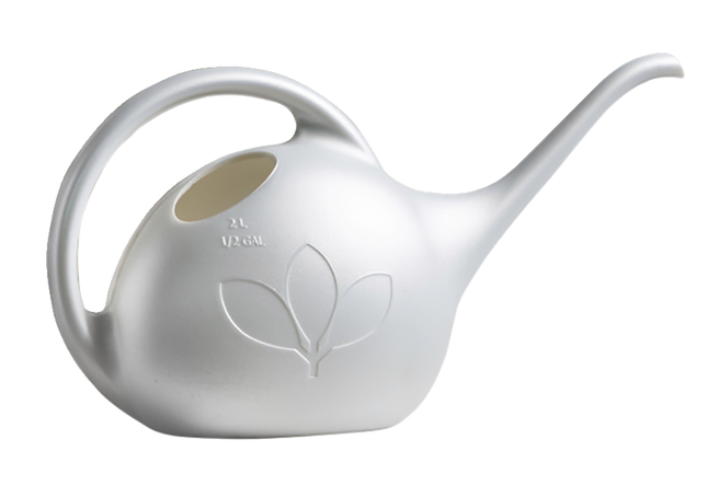 Novelty Indoor Watering Can 1/2 Gallon Pearl 