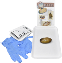 Frey Choice Dissection Kit - Freshwater Clam without Dissection Tools, Item Number 2041222