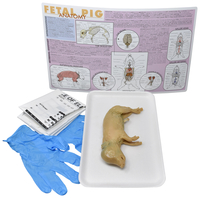 Frey Choice Dissection Kit - Fetal Pig (DBL) without Dissection Tools, Item Number 2041226