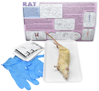 Frey Choice Dissection Kit - Rat (DBL) without Dissection Tools, Item Number 2041227