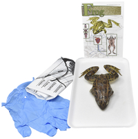Frey Choice Dissection Kit, Basic Frog, Item Number 2041230