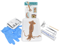 Frey Choice Dissection Kit - Squid (plain) with Dissection Tools, Item Number 2041233