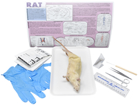 Frey Choice Dissection Kit - Rat (DBL) with Dissection Tools, Item Number 2041237