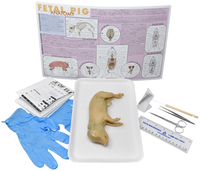 Frey Choice Dissection Kit - Fetal Pig (DBL) with Dissection Tools, Item Number 2041239