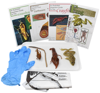 Frey Choice Dissection Kit, Animal Anatomy, Item Number 2041240