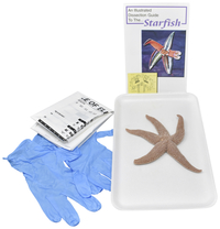 Frey Choice Dissection Kit - Starfish without Dissection Tools, Item Number 2041244
