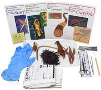 Frey Choice Dissection Ki, Basic Zoology with Dissection Tools, Item Number 2041249