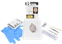 Frey Choice Dissection Kit, Mammalian Brain with Dissection Tools, Item Number 2041251